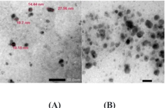 Gambar 9. Hasil foto TEM nanopartikel perak sampel VIII hasil sintesis pada  perbesaran 150.000x (A) dan 100.000x (B)