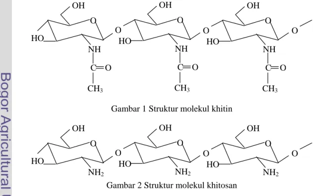 Gambar 1 Struktur molekul khitin 
