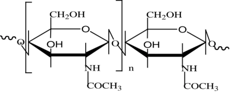 Gambar 2.1 Struktur kitin 
