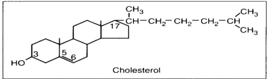 Gambar 2.3 Struktur Kolesterol (Sampaio et al.2006) 