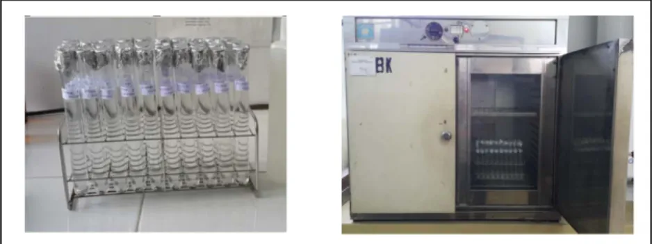 Gambar 3.3  Sampel dalam tabung reaksi dimasukkan ke inkubator 