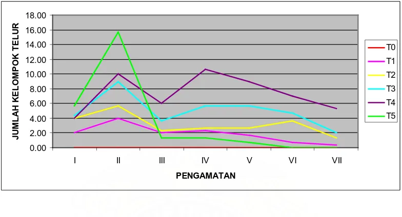 Gambar 6. Grafik jumlah kelompok telur Pomacea sp pada tanaman padi           (Oryza sativa)  