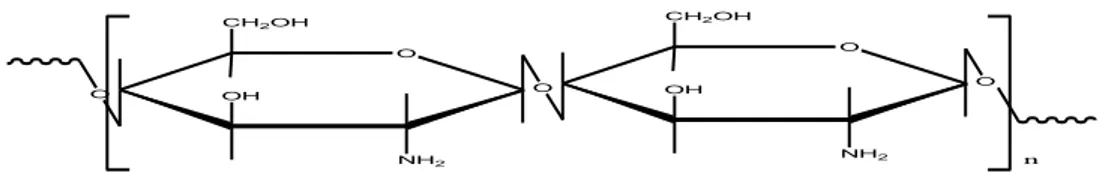 Gambar 2.2. Struktur polimer kitosan (Sugita, 2009) 