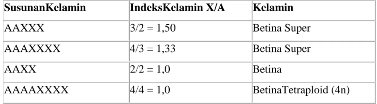 Tabel indeks kelamin (X/A) pada Drosohila sp. Untuk menentukan  jenis kelamin. 