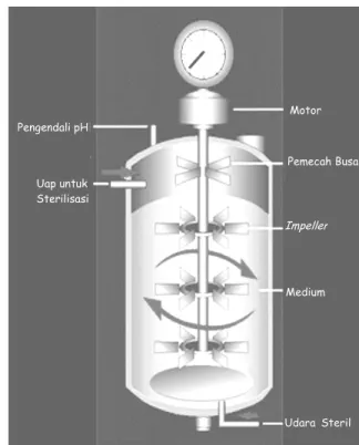 Gambar 2.  Penampang fermentor untuk fermentasi skala laboratorium  