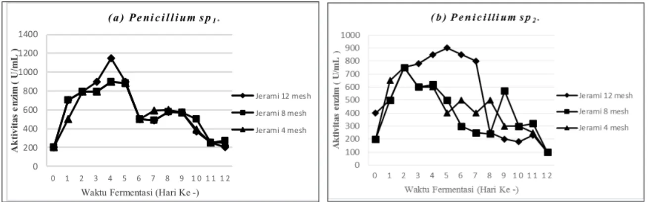 Gambar 2. Profil Produksi Ligninase dalam Proses Biodegradasi Jerami Padi pada Berbagai  Ukuran Jerami (a)