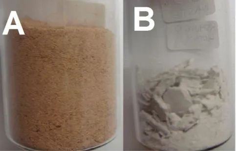Gambar  1.  Perubahan  warna  TKKS  sebelum  (A)  dan  sesudah  (B)  proses  delignifikasi  menggunakan NaClO 2 