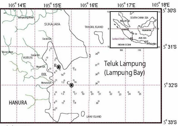 Gambar 1 : Peta Teluk Lampung dan posisi  stasiun-stasiun pengambilan sampel 