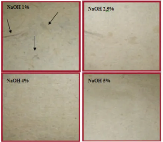Gambar 4. Kertas dengan variasi konsentrasi NaOH dengan chemical pulping selama 10 menit.