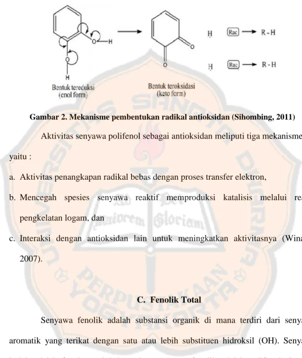Gambar 2. Mekanisme pembentukan radikal antioksidan (Sihombing, 2011)  Aktivitas senyawa polifenol sebagai antioksidan meliputi tiga mekanisme,  yaitu : 