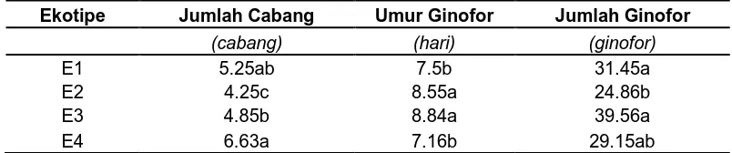 Tabel 3. Rataan jumlah cabang, umur ginofor dan  jumlah ginofor 