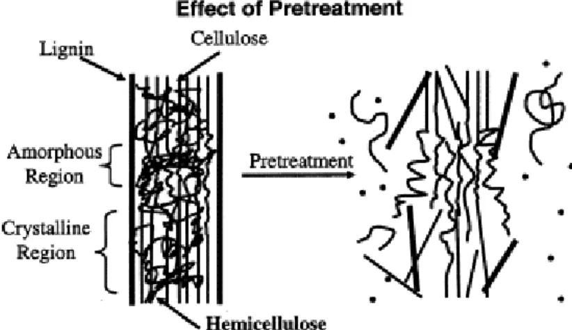 Gambar 3. Efek pretreatment terhadap stuktur biomassa lignoselulosa (Mosier et al. 2005)  Pretreatment bisa dilakukan dengan metode fisika, kimia, biologi, atau pun kombinasi dari  metode-metode  itu
