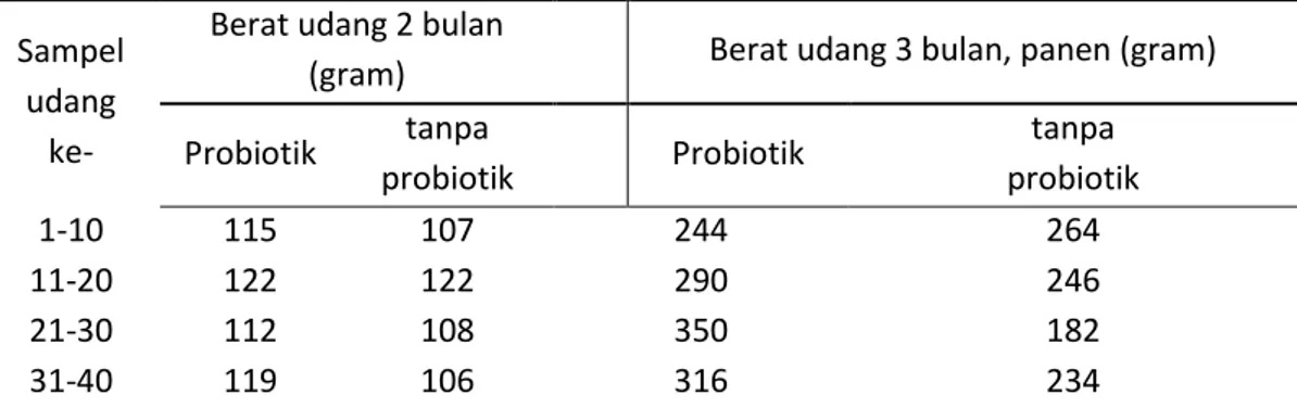 Tabel 3 Hasil analisis pertumbuhan udang 