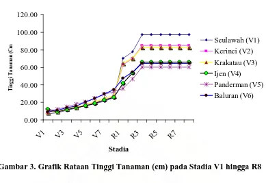 Gambar 3. Grafik Rataan Tinggi Tanaman (cm) pada Stadia V1 hingga R8  