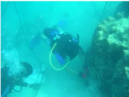 Gambar 7  Perakitan small bottom setnet di dasar perairan 