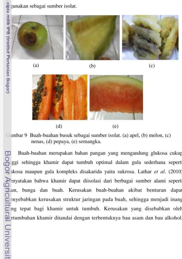 Gambar 9  Buah-buahan busuk sebagai sumber isolat. (a) apel, (b) melon, (c)  nenas, (d) pepaya, (e) semangka