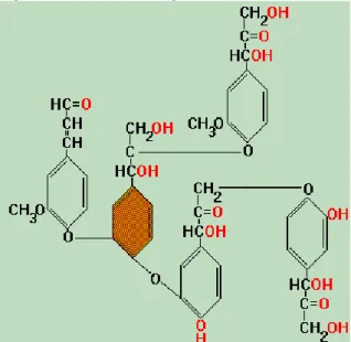 Gambar 8. Monomer pada lignin 
