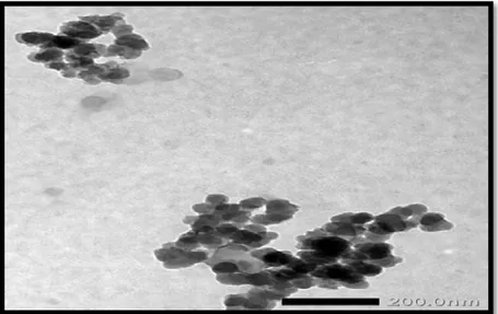 Gambar 4.5 Hasil Analisi  Morfologi Nanokristal Selulosa Menggunakan TEM 