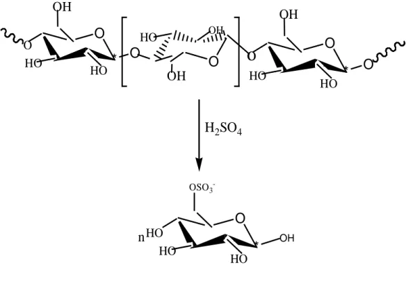 Gambar 4.7  Reaksi  Hidrolisis α-selulosa dengan H 2 SO 4  (Benavides, 2011) 