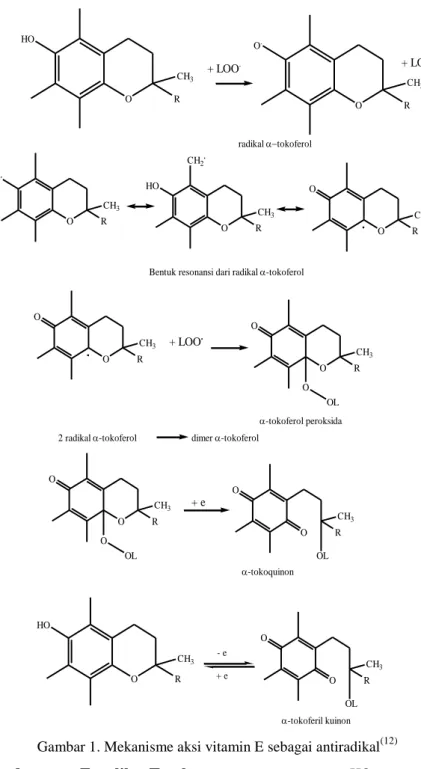 Gambar 1. Mekanisme aksi vitamin E sebagai antiradikal (12)                   Penentuan  Kandungan  Fenolik  Total