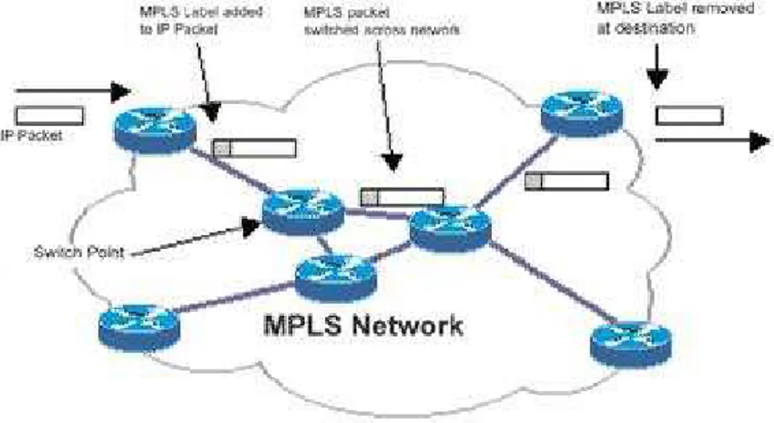 Gambar 2.5 MPLS Network (host.mpls-