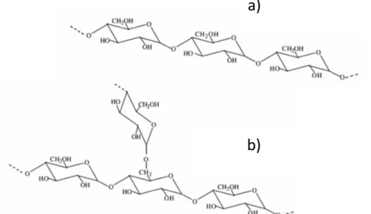 Gambar 1. a) Struktur Amilosa b) Struktur Amilopektin [3] 