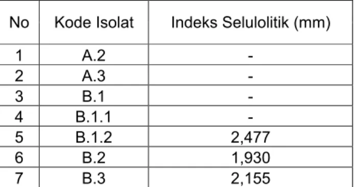 Tabel 2. Uji Aktivitas Selulolitik pada Isolat Bakteri Sampel Eucheuma sp.