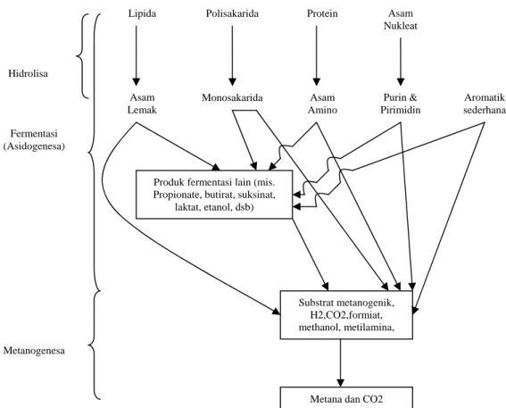 Gambar II.6.  Skema proses anaerob : hidrolisa, asidogenesa, dan metanogenesa  (Metcalf and Eddy, 2004) 