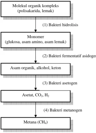 Gambar II.8. –Kelompok bakteri metabolis pada proses anaerob   (Koster, 1988 dikutipdari Bitton, 1994) 