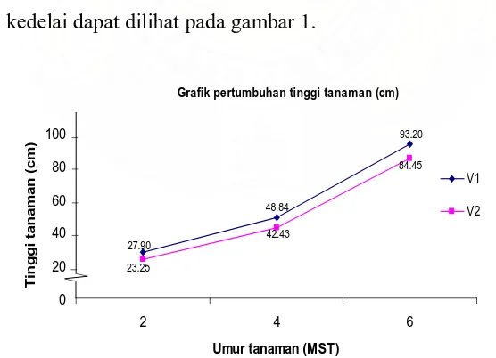 Grafik pertumbuhan tinggi tanaman (cm)