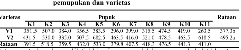 Tabel 6. Data jumlah biji per tanaman (biji) pada perlakuan       pemupukan dan varietas 