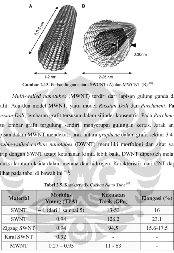 Gambar 2.13. Perbandingan antara SWCNT (A) dan MWCNT (B) [48]