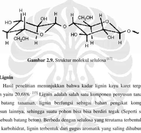 Gambar 2.9. Struktur molekul selulosa  [17]