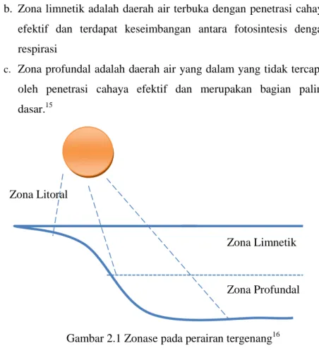 Gambar 2.1 Zonase pada perairan tergenang 16