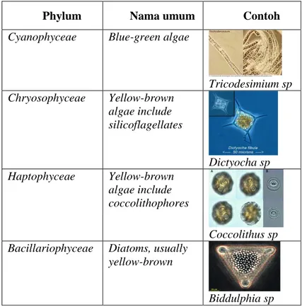 Tabel 2.1. Sistematika grup-grup utama fitoplankton 11