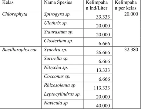 Tabel 4.5 Hasil identifikasi fitoplankton pada Telogo  Pengilon 