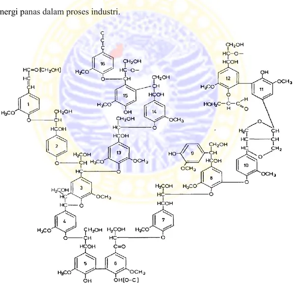 Gambar 2.2  Struktur lignin yang terdiri dari 16 fenil propane (Alder, 1977). 