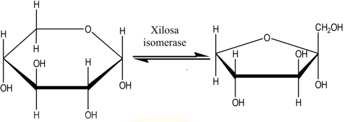 Gambar 2.8 Isomerisasi Xilosa Menjadi Xilulosa Oleh Xilosa Isomerase                      (Vandamme et al., 1987)