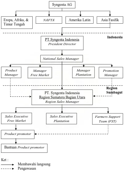 Gambar 5. Struktur Organisasi PT.Syngenta Indonesia 