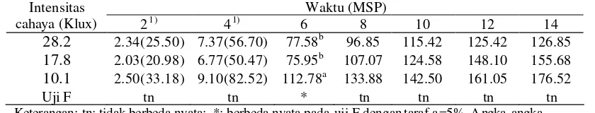 Tabel 4. Pengaruh intensitas cahaya terhadap tinggi tanaman (cm) H. diversifolia 