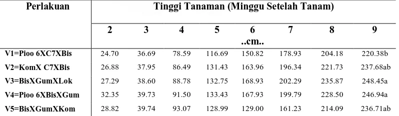 Tabel 2. Rataan tinggi tanaman (cm) dari 5 Varietas Pada Minggu Ke 2-9  