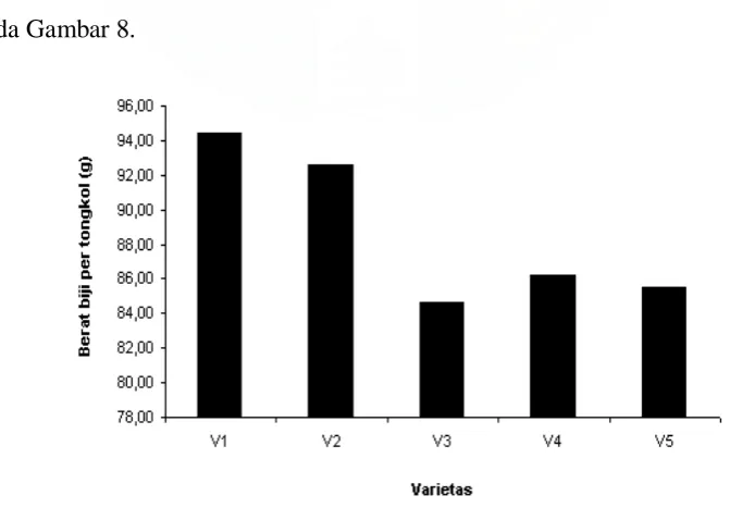 Tabel 9. Rataan Parameter Bobot Biji Per Tongkol (g) dari 5 Varietas  