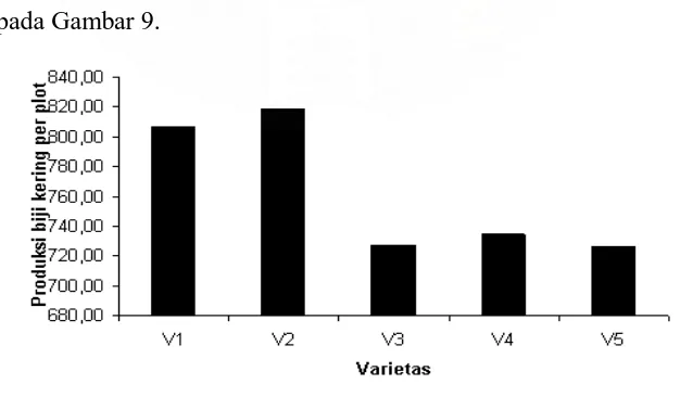 Gambar 9. Histogram rataan Produksi Biji Kering per Plot (g) dari 5 Varietas   