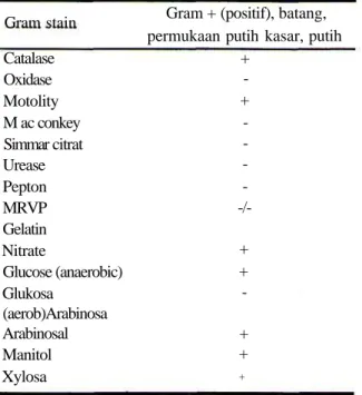 Tabel 4. Identifikasi lengkap Isolat ISO PL3 Gram stain Catalase Oxidase Motolity M ac conkey Simmar citrat Urease Pepton MRVP Gelatin Nitrate Glucose (anaerobic) Glukosa (aerob)Arabinosa Arabinosal Manitol Xylosa