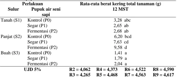 Tabel 3. Rata-Rata Berat Kering Total (g) Setek Sulur Tanaman Cabe Jamu Akibat Aplikasi Pupuk Air Seni  Sapi pada umur 12 MST 