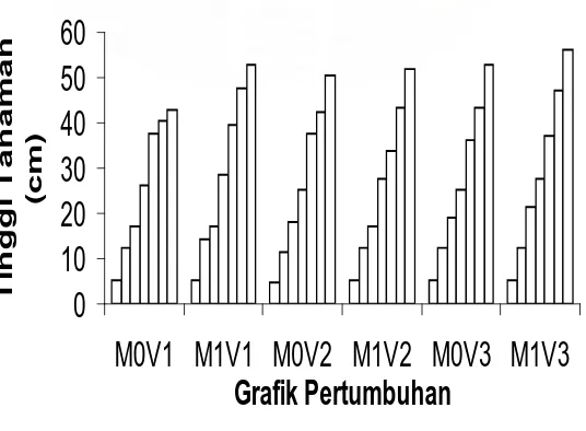 Grafik pertumbuhan tanaman 2 MST – 8 MST ditampilkan pada Gambar 1. 