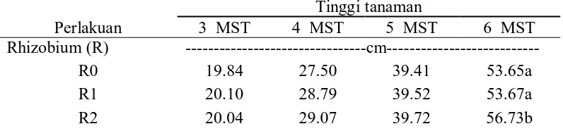Tabel 2. Rataan tinggi tanaman pada umur 3 MST - 6 MST pada beberapa  dosis inokulasi rhizobium dan  pupuk posfat serta interaksi kedua perlakuan