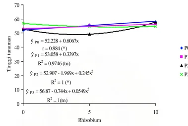 Tabel 4. Rataan jumlah cabang pada umur 4 MST - 6 MST pada beberapa dosis inokulasi rhizobium dan pupuk posfat  serta interaksi kedua perlakuan