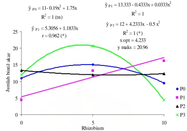 Tabel 6. Rataan bobot bintil akar 5 MST pada beberapa dosis inokulasi rhizobium dan pupuk posfat serta interaksi kedua perlakuan
