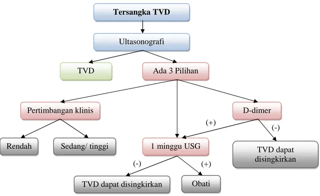 Gambar 1. Diagram pendekatan diagnosis TVD. 4